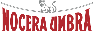 Logo Acqua Nocera Umbra